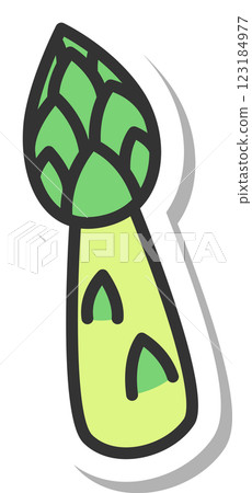 貼紙蔬菜單一圖示:蘆筍 貼紙蔬菜單一圖示:蘆筍 123184977
