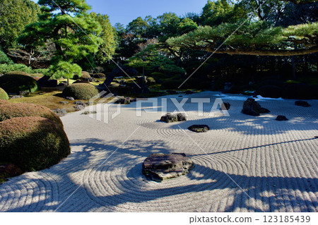 冬季日本庭園裡的沙波 123185439