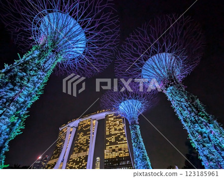 Singapore Garden Rhapsody Night Show 123185961