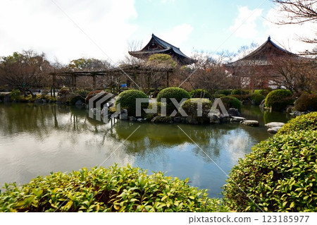 京都府,東寺花園,葫蘆池,京都市南區九條町,2022 年 2 月 京都府,東寺花園,葫蘆池,京都市南區九條町,2022 年 2 月 123185977