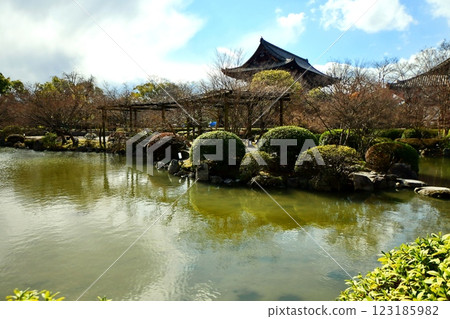 Kyoto Prefecture, Toji Temple Garden, Gourd Pond, Kujo-cho, Minami-ku, Kyoto City, February 2022 Kyoto Prefecture, Toji Temple Garden, Gourd Pond, Kujo-cho, Minami-ku, Kyoto City, February 2022 123185982