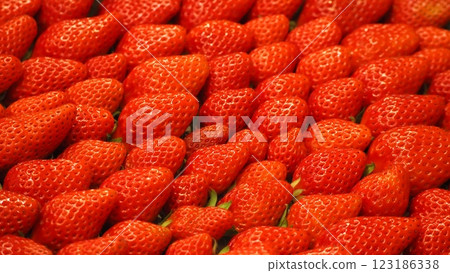 Crimson strawberries Crimson strawberries 123186338