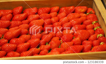 Crimson strawberries Crimson strawberries 123186339