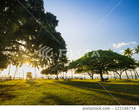 夏威夷：黃昏時的卡皮歐拉尼公園 123186734