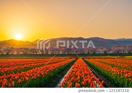 船川朝日（春天/黎明） 123187218