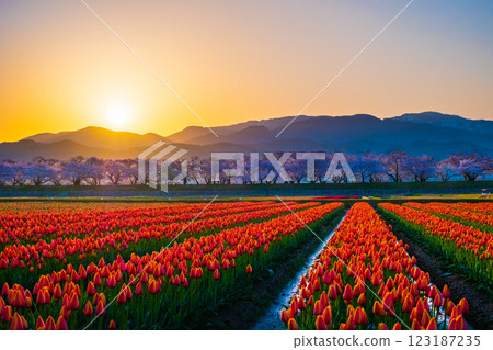 船川朝日（春天/黎明） 123187235