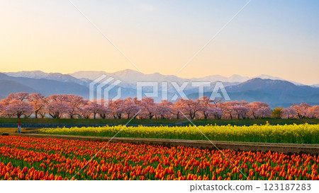 朝日船川春天四重奏 123187283