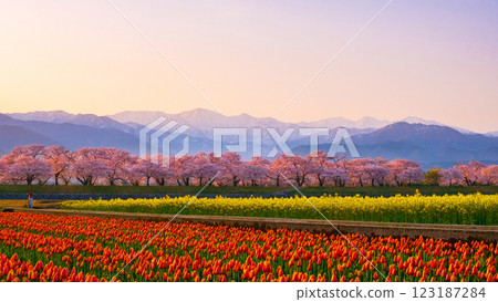 朝日船川春天四重奏 朝日船川春天四重奏 123187284