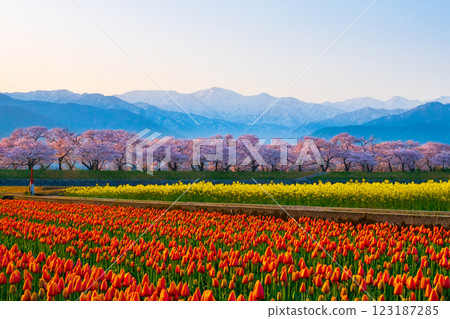 朝日船川春天四重奏 朝日船川春天四重奏 123187285