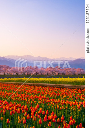 朝日船川春天四重奏 123187304