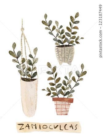 House plants in flowerpot watercolor set, collection of potted plant, cute flower plant illustration hand drawn in mixed media 123187449