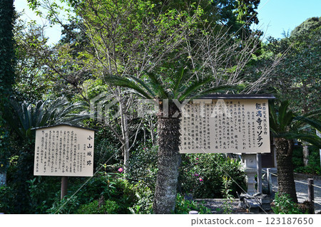 小山城(遠富國)仿造的天守閣和月牙形護城河 小山城(遠富國)仿造的天守閣和月牙形護城河 123187650