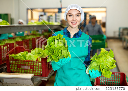 Portrait of positive woman vegetable factory worker with lettuce Portrait of positive woman vegetable factory worker with lettuce 123187770