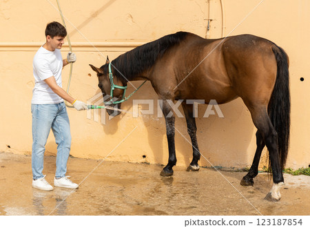 Young guy farm worker washing horse off with hose on hot day in stable yard Young guy farm worker washing horse off with hose on hot day in stable yard 123187854