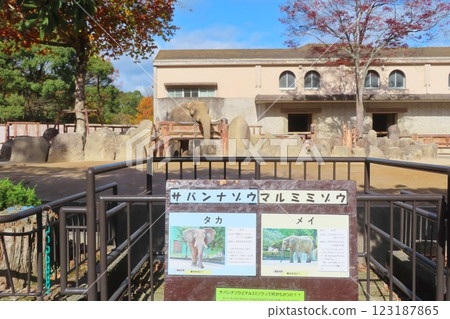 [廣島縣] 廣島市阿佐動物園的大象圍欄 123187865