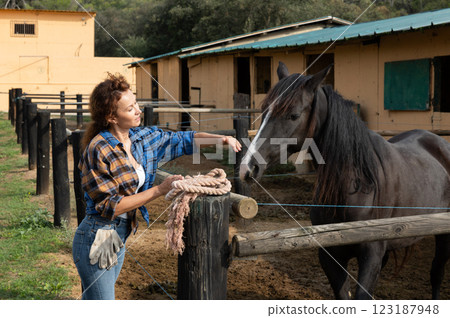 Backyard of stables on typical autumn day - horse walking Backyard of stables on typical autumn day - horse walking 123187948