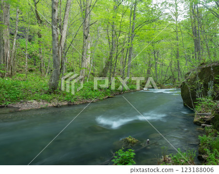 [Aomori] Oirase mountain stream 123188006