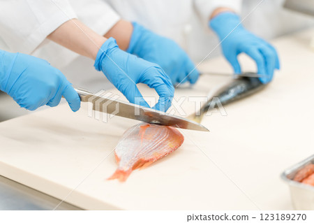 Fisheries processing, fish preparation, and cooking staff (food processing, central kitchen, vocational school) 123189270