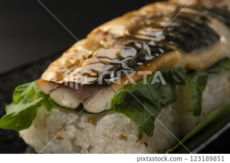 Product photo of grilled mackerel sushi 123189851