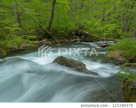 [Aomori] Oirase mountain stream 123190378