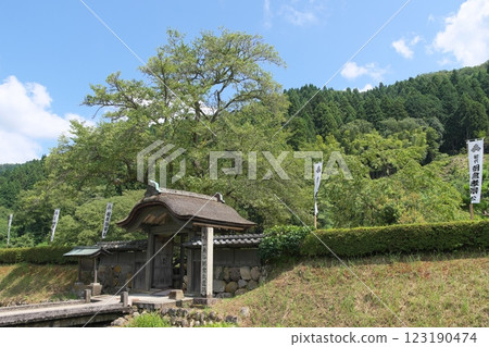 Ruined Valley Asakura Ruins Karamon 123190474
