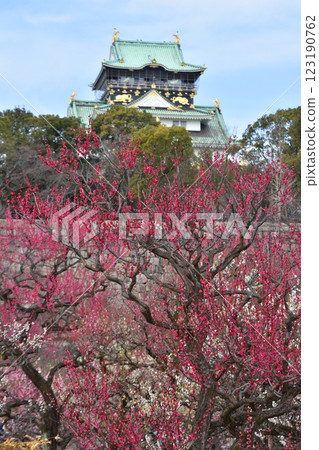大阪城和紅梅基 123190762