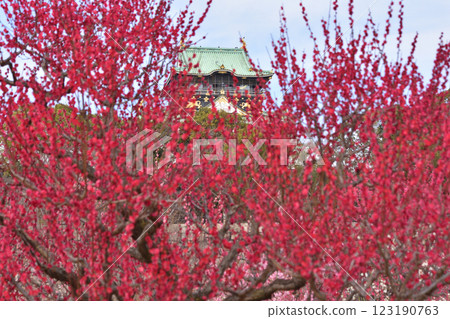 大阪城和紅梅基 大阪城和紅梅基 123190763