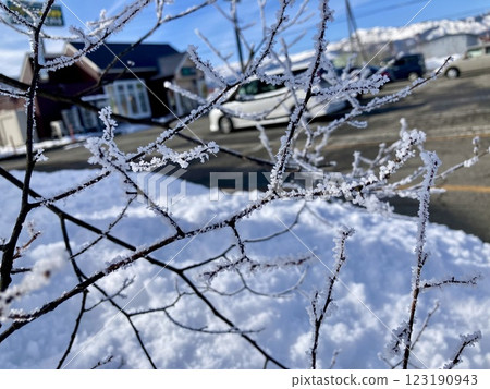 Ice on the branches Ice on the branches 123190943