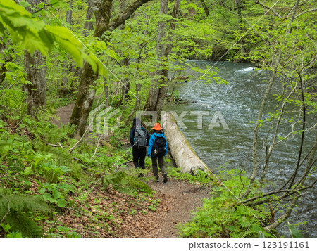 [Aomori] Oirase mountain stream 123191161