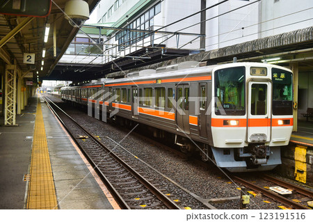 大垣站 東海道線 311系列 123191516