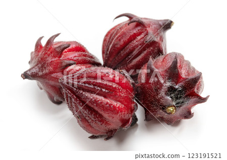 蘿神花芙蓉茶 123191521