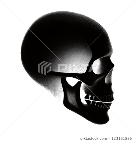 Skull grayscale silhouette illustration cut out on transparent background 123191886