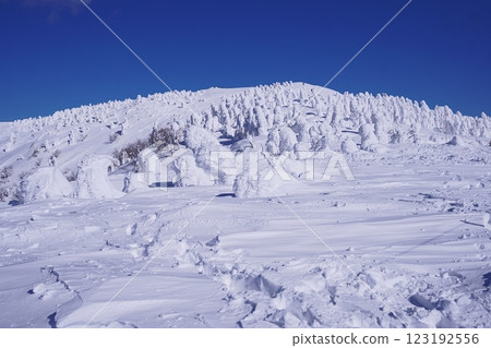 The snow giants 123192556