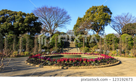 冬天的 Port View Hill 公園 123192673
