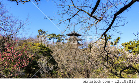 冬季(初春)風景優美的日本花園三溪園 冬季(初春)風景優美的日本花園三溪園 123192818