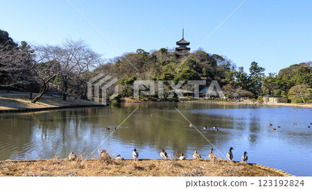 Sankeien Garden, a scenic Japanese garden, in winter (early spring) Sankeien Garden, a scenic Japanese garden, in winter (early spring) 123192824