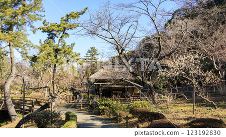 冬季(初春)風景優美的日本花園三溪園 冬季(初春)風景優美的日本花園三溪園 123192830