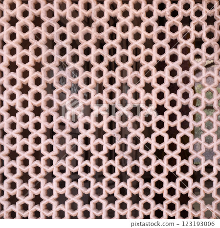 Beautiful stone carvings on the wall in Fatehpur Sikri complex, Uttar Pradesh, India 123193006