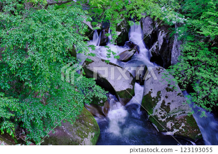 Mountain stream with green foliage and huge rocks (Oninoshitaburi: Okuizumo Town, Nita District) 123193055