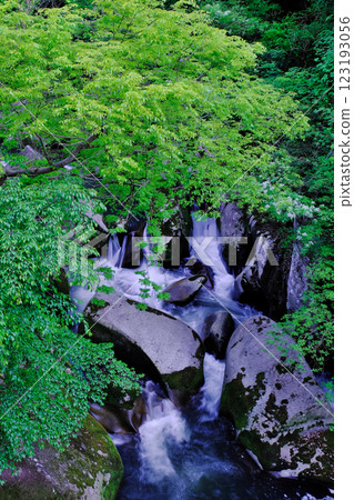 Mountain stream with green foliage and huge rocks (Oninoshitaburi: Okuizumo Town, Nita District) Mountain stream with green foliage and huge rocks (Oninoshitaburi: Okuizumo Town, Nita District) 123193056