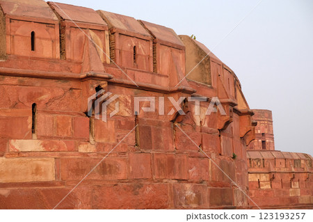 Red Fort in Agra. Uttar Pradesh, UNESCO World heritage site, India 123193257