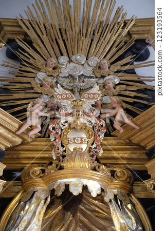 Holy Spirit Bird, Virgin Mary altar in the Neumunster Collegiate Church in Wurzburg, Germany 123193564