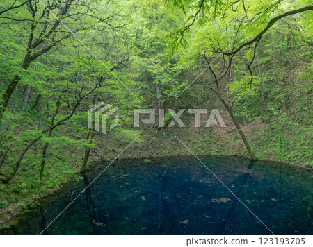 [青森] 青池 123193705