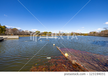 Ukima Park 123194031