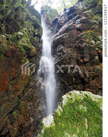 Tenjogataki Falls, Shimonoseki City (Toyota Town), Yamaguchi Prefecture 123194817