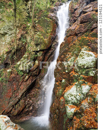 Tenjogataki Falls, Shimonoseki City (Toyota Town), Yamaguchi Prefecture 123194821
