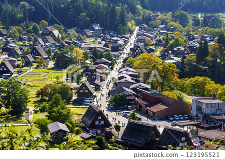The autumn foliage of the World Heritage Site, Ogimachi Gassho-style Village in Shirakawa-go, seen from the Ogimachi Castle Ruins Observatory 123195521