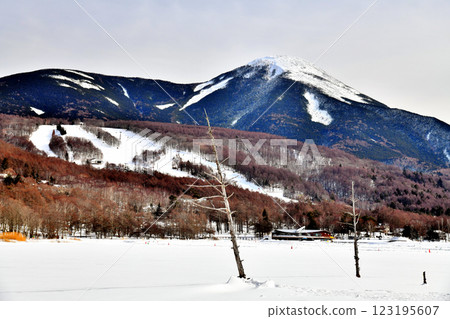 Lake Goddess in Winter (Tateshina Town, Nagano Prefecture) [2025.2] 123195607