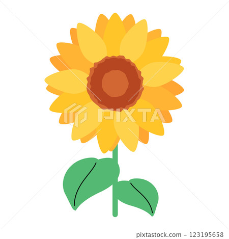 Sunflower flower Sunflower flower 123195658