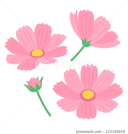 Cosmos flowers Cosmos flowers 123195659